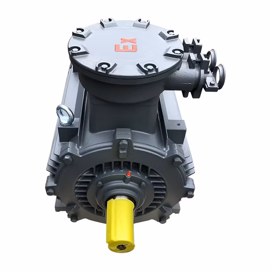 Three Phase Explosion Proof Flameproof AC Electrical Asynchronous Induction Ex Electric Motor