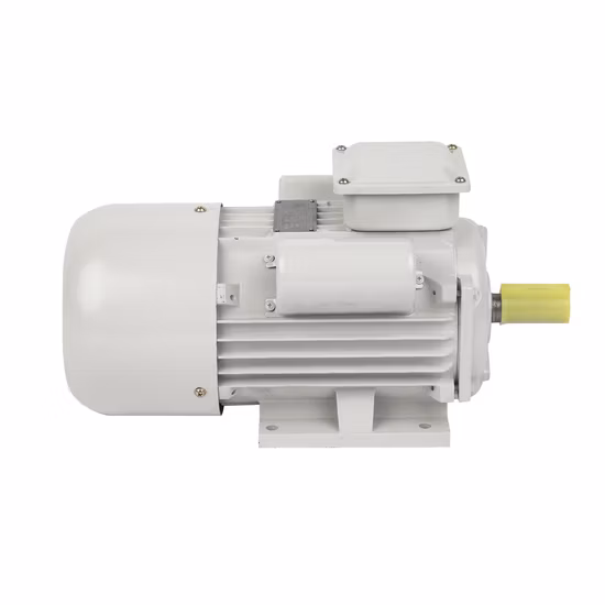 Ye2 Ye3 Y2 Y Dreiphasiger asynchroner Wechselstrom-Käfigläufer-Induktions-Elektromotor für Wasserpumpen-Kompressor-Lüftergebläse 0,12 kW